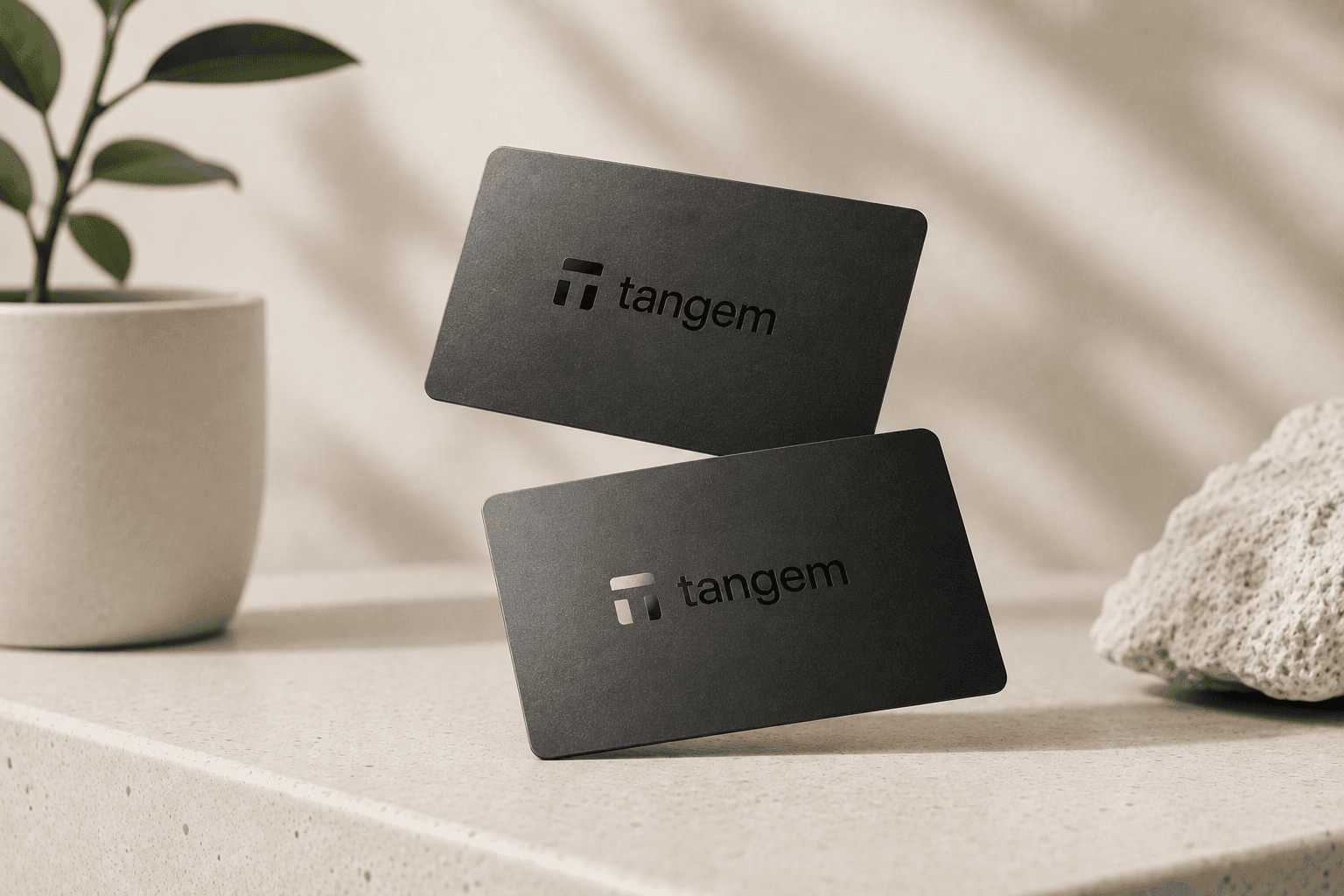 Tangem-plånbok i kortformat, två svarta kort